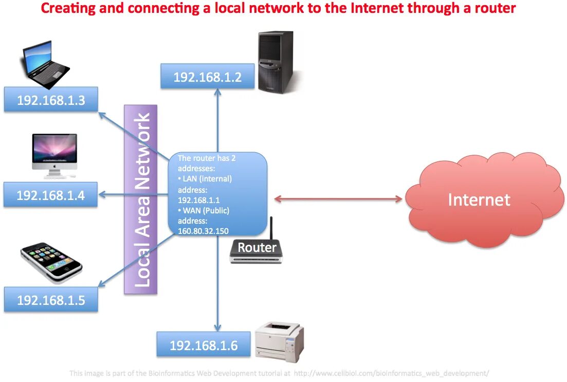 Функция connected. Lan сеть. Local area Network lan. Lan и Wan структура. Connected to the Internet *.