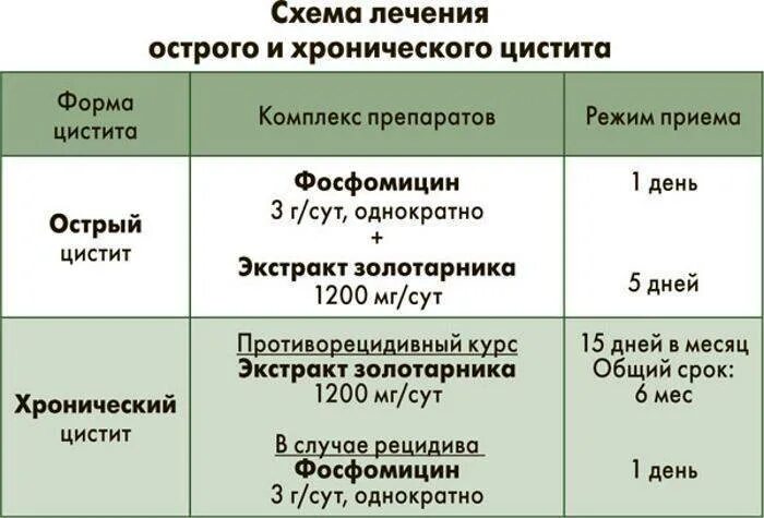 Почему не проходит цистит после лечения. Схема лечения цистита у женщин медикаментозные препараты. схема лечения при хроническом цистите. схема лечения хронического цистита. хронический цистит лечение у женщин препараты схема.
