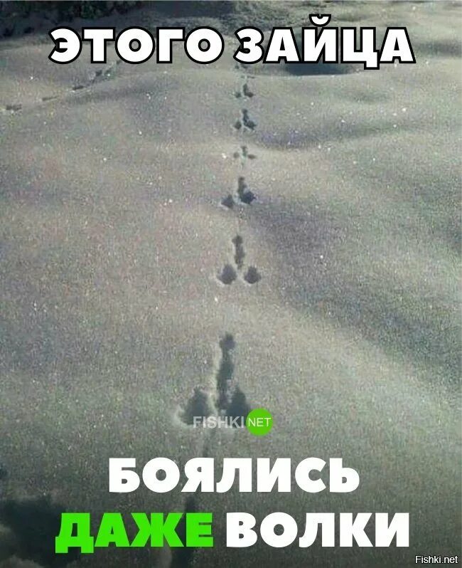 Долго и не будет бояться