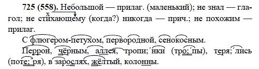 Русский язык 6 класс разумовская упр 599. Задания по русскому языку 6 класс Разумовская. Упражнение 725 по русскому языку. Русский язык упражнение 725 Разумовская 6 класс.