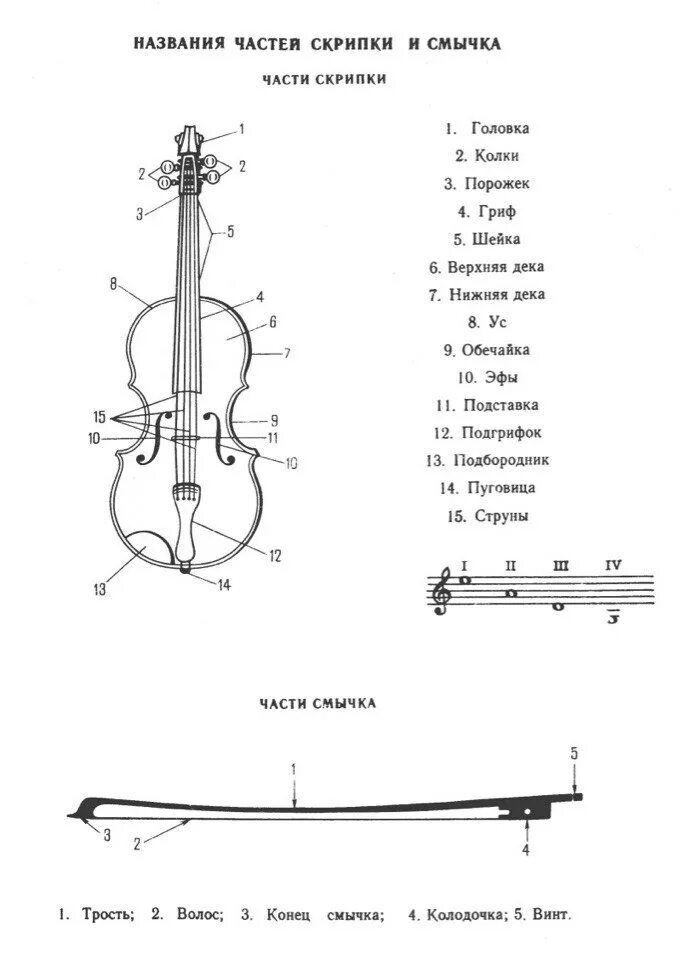 Строй скрипки. Строение смычка для скрипки. Строение скрипки схема. Части скрипки и смычка с названиями. Составные части скрипки схема.