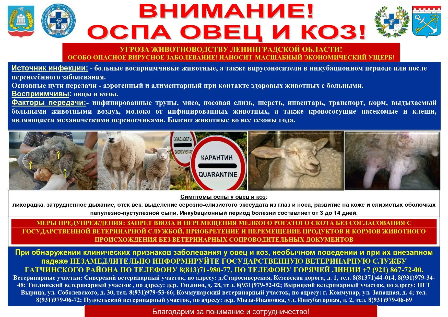 Ветеринарные правила. Профилактика оспы овец.