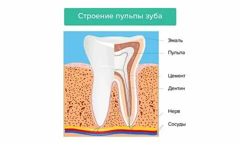 Пульпа совиньон