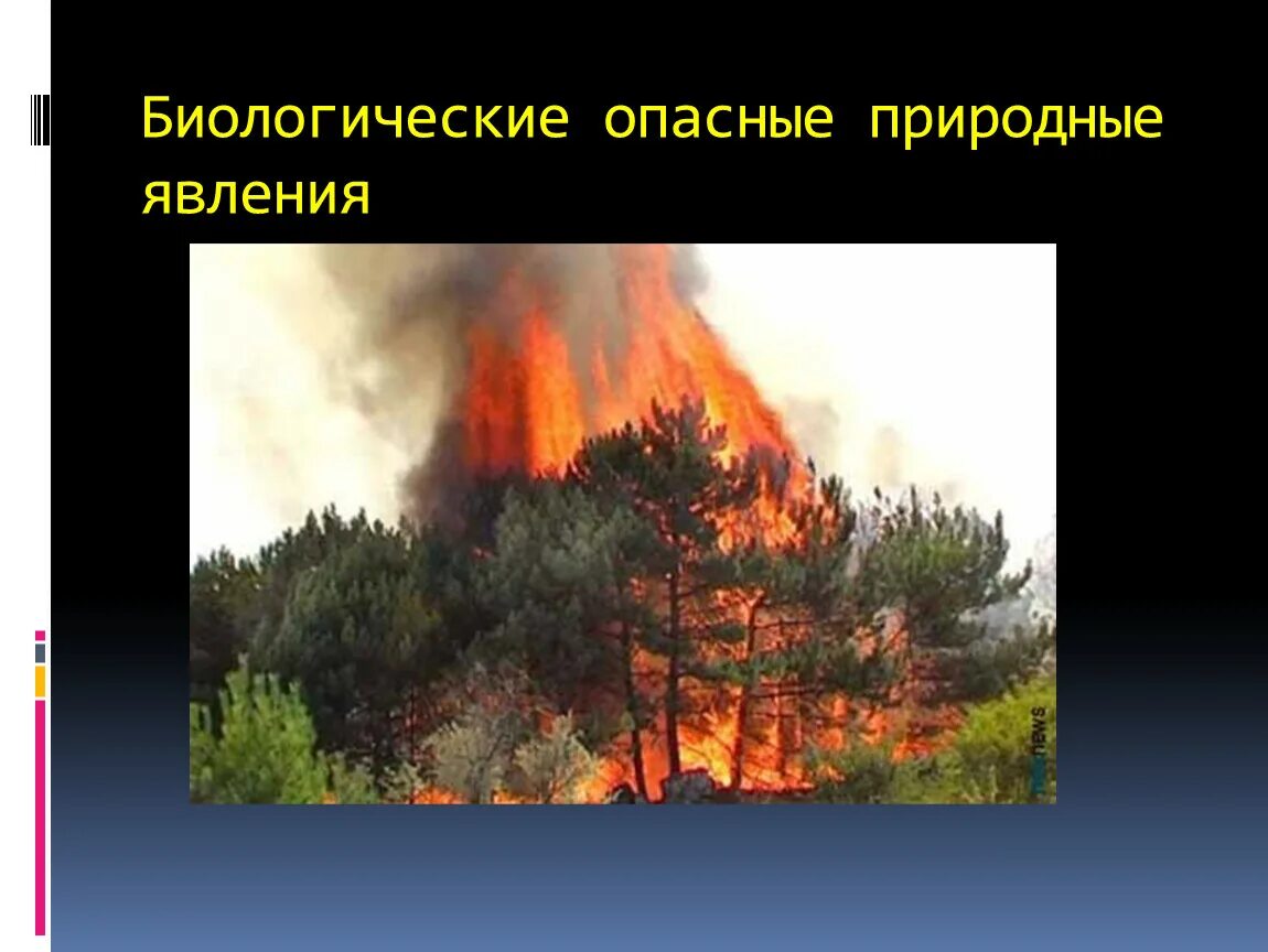 3 биологические явления. Опасные природные явления. Опасное явление это ОБЖ. Опасно природные явления. Природные опасности летом.