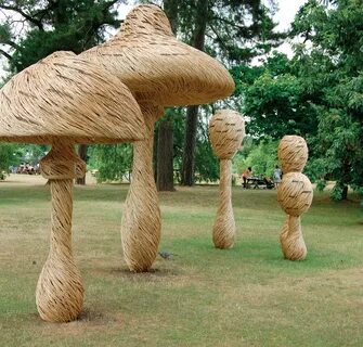 Mushroom building