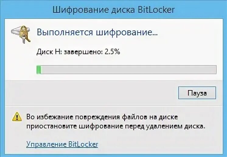 Автоматическое шифрование bitlocker что это. Как зашифровать айпи ссылку. почему так долго выполняется шифрование флешки.