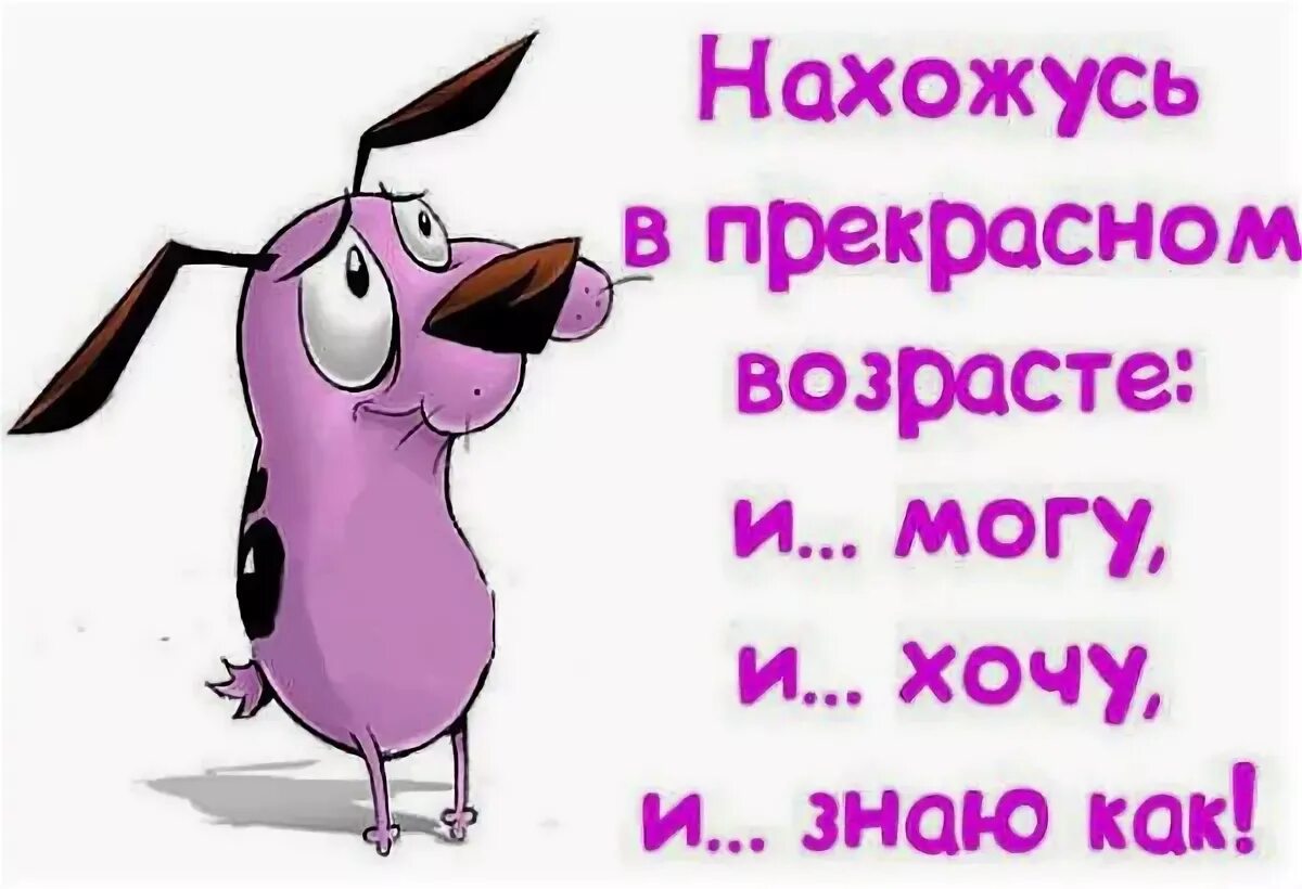 Напоминание жене. Статус про день рождения. Смешные цитаты про день рождения. Статусы про день рождения прикольные. Цитаты про день рождения прикольные.