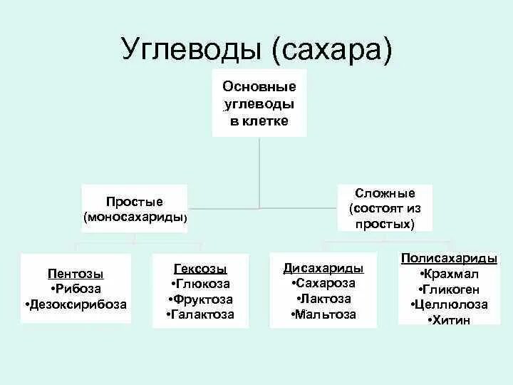 Сахар углеводы. Сахар это сложный углевод или простой. Простые сахара и сложные углеводы. Простые и сложные сахара.