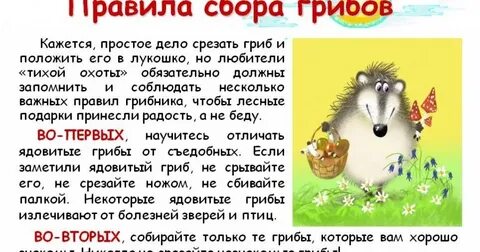 Как пишется собранные грибы