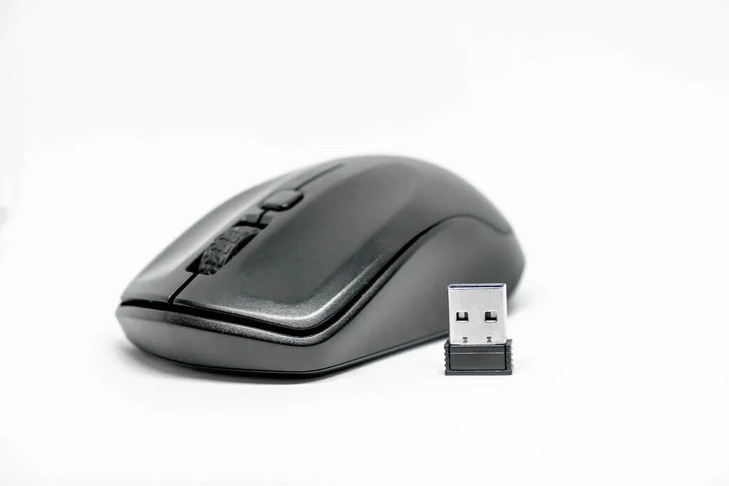Mouse b. Мышки drive. computer mouse dataset. working computer mouse trinket. аво тэйч компьютер маус.
