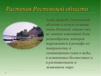 Доклад про ростовскую область