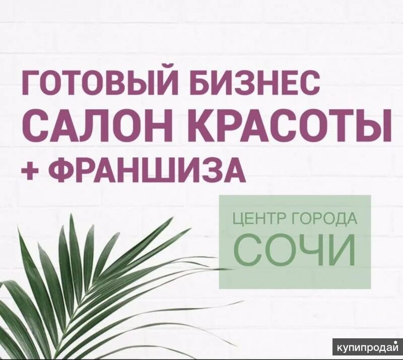 Куплю готовый бизнес сочи. Место красоты франшиза отзывы. Что такое франшиза салона красоты легкими словами.