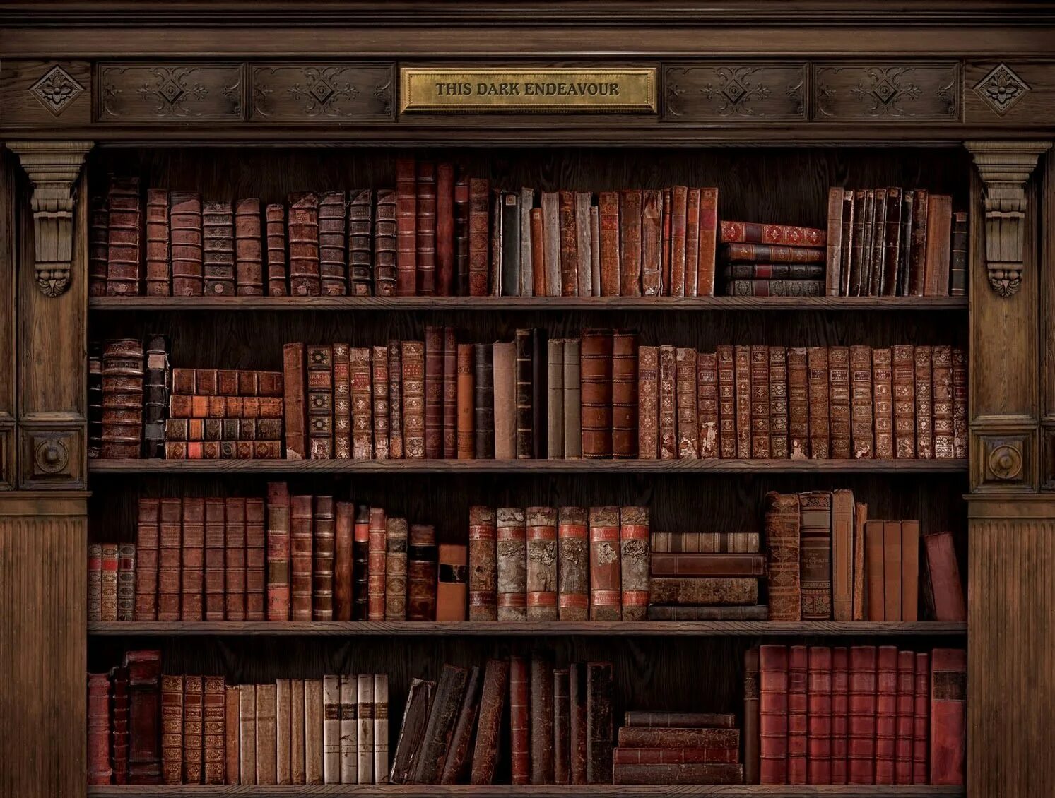 Интерьер книжного магазина. Заполнить книгами. Карл лагерфельд библиотека. Библиотека 146. Книжные стеллажи в интерьере.