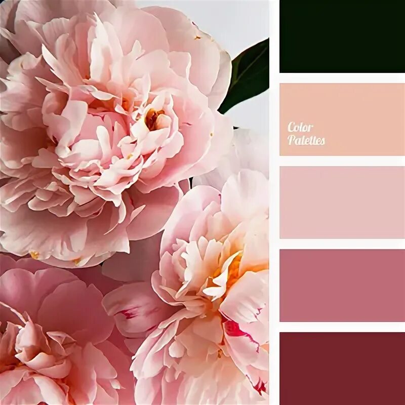 Сочетание цветов с бежево розовым цветом in_color_balance_32 Color balance, Color, Color mixing