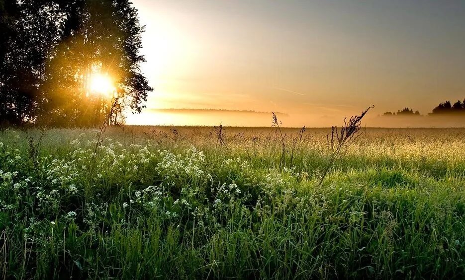 Дорога вид с боку. Сказки в дорогу. Раннее летнее утро. Распутье дорог. Доброе утро.