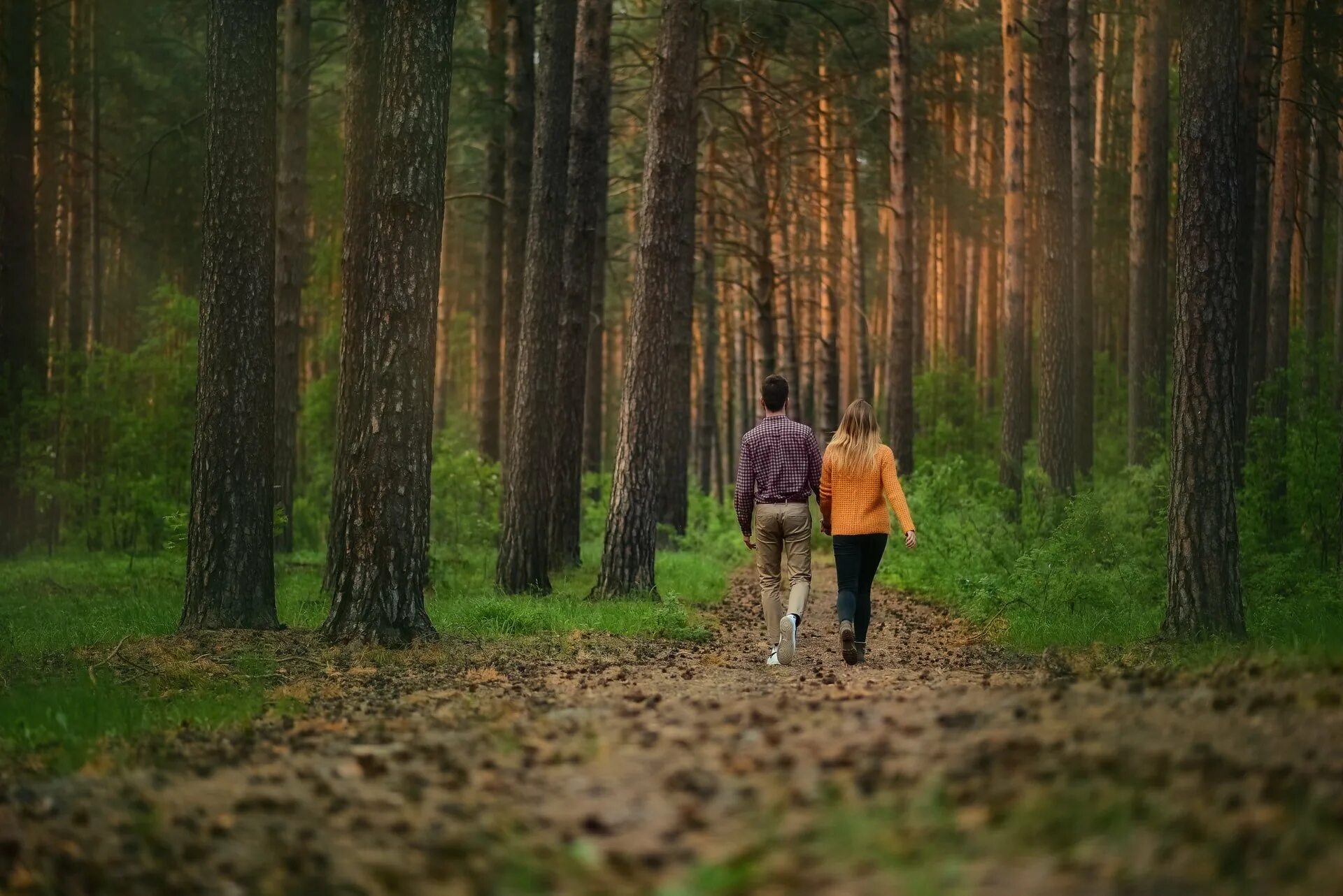 Человек который любит лес. Синрин-Йоку. Прогулки по лесу. Гулять в лесу. Пешие прогулки на природе.