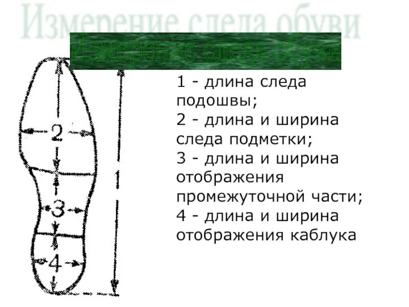 Что означает слово подметка. Части подошвы обуви трасология. Измерение следа обуви. Измерение следа обуви криминалистика. Отпечаток следа обуви.