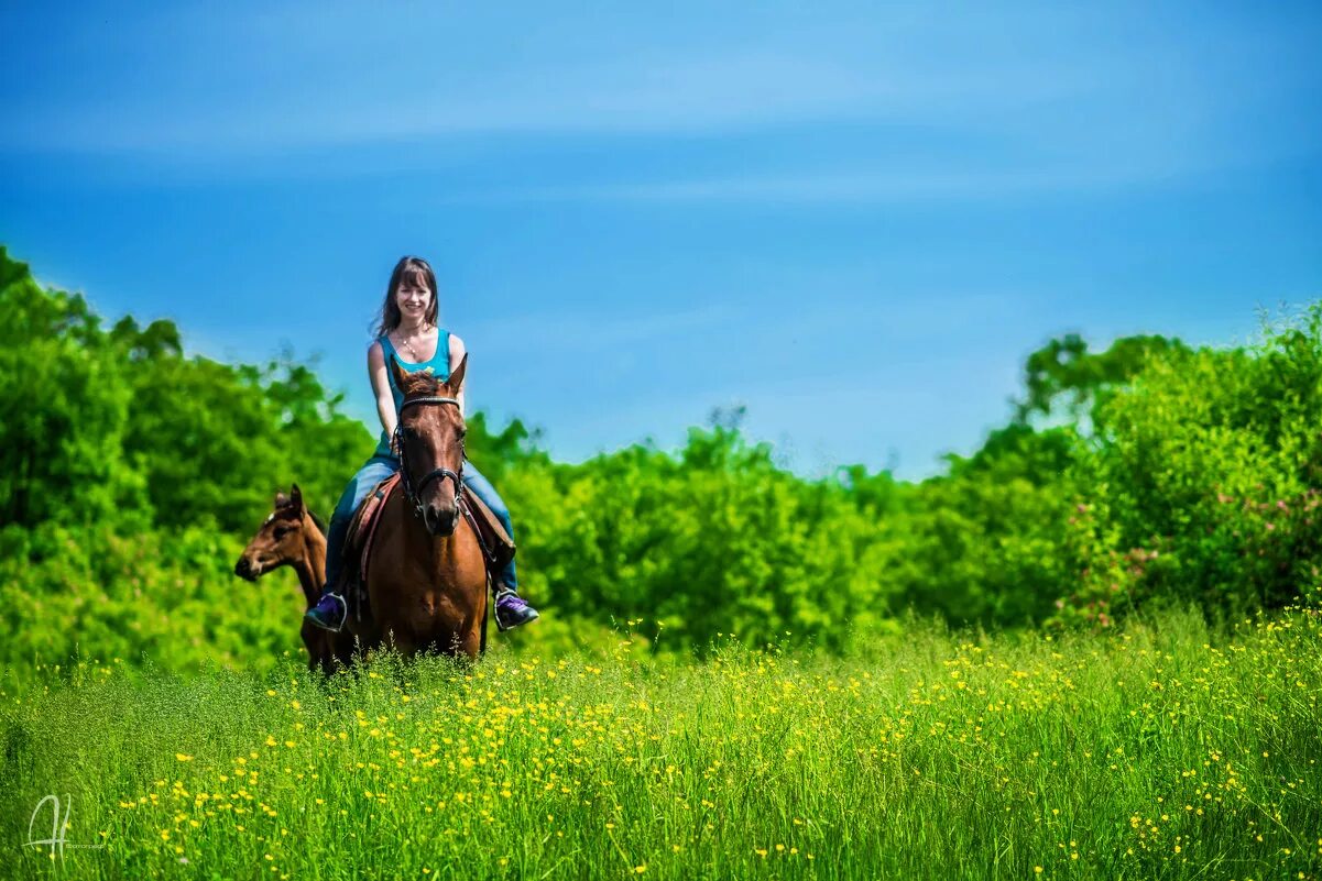 Кск мечта. Конная прогулка. Прогулки на лошадях природа. Конные прогулки Казань. Конная прогулка на лугу.