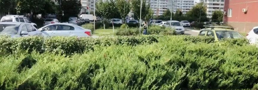 Краснодар отзывы переехавших на пмж 2025. Краснодар отзывы переехавших на пмж 2025
