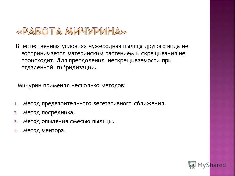 методы селекционной работы мичурина. мичурин методы селекции. метод ментора в селекции растений. мичурин методы селекции. методы селекции растений мичурина.