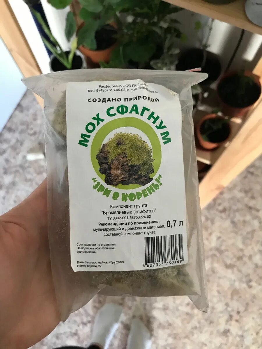 Есть ли корни у сфагнума. Есть ли корни у сфагнума