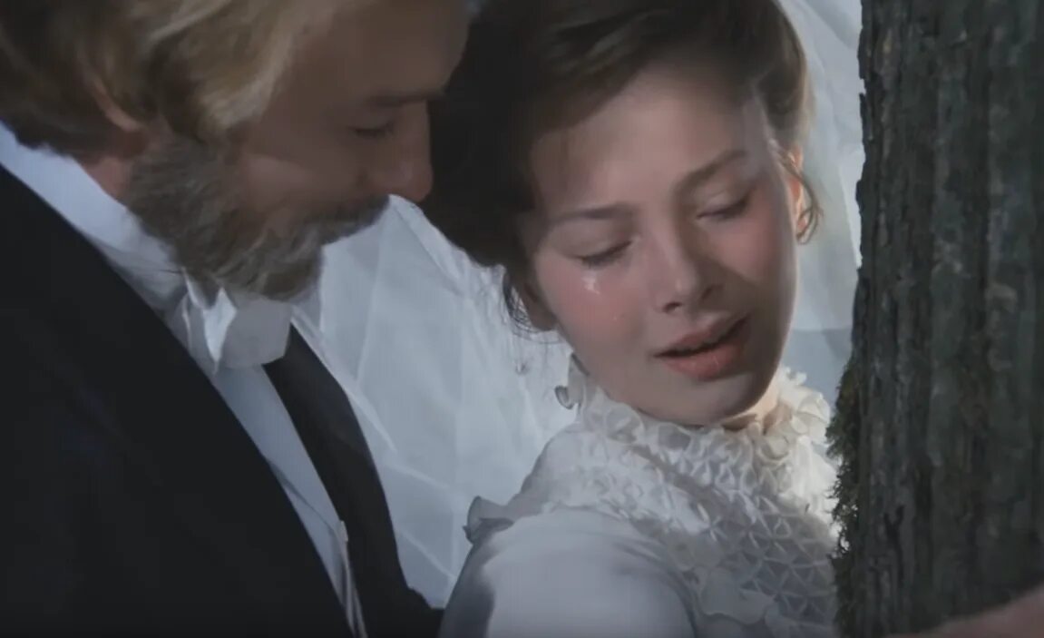 Мой ласковый зверь краткое содержание. Мой ласковый и нежный зверь янковский.