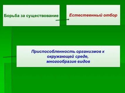 Существование естественный