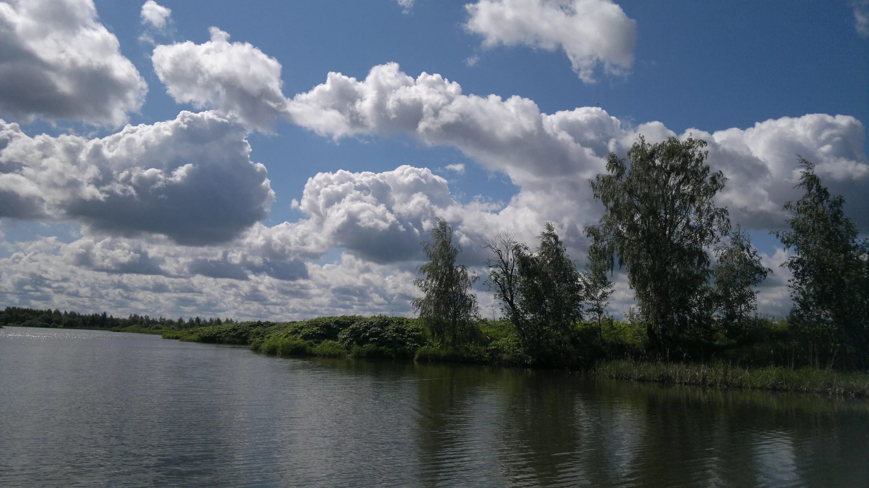 Медленно плывут облака. Гиф облака плывут. Облака плывут над рекой. Картина маслом облака плывут над полями. Облака плывут над полем гиф.