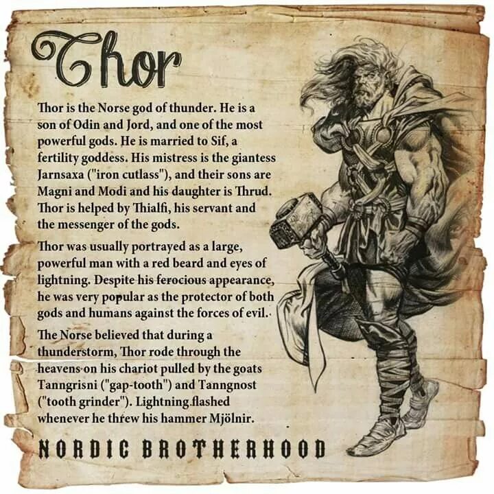 Norse перевод. Девять миров скандинавской мифологии. Greek hods and ròman gods имена в сравнении. Norse перевод. Письменность викингов.