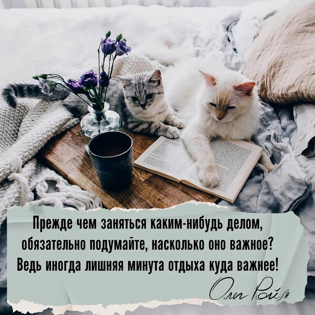 Какие нибудь дела
