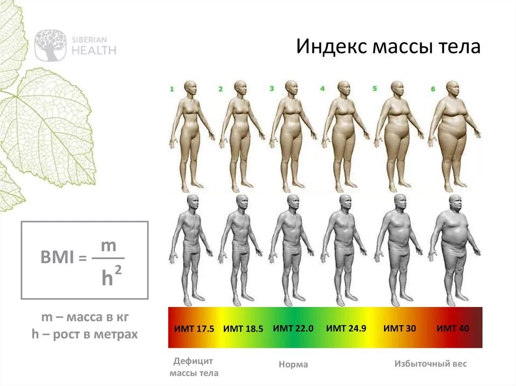 Индекс веса тела человека. ИМТ. Индекс массы тела. ИМТ фигура. Индекс веса.