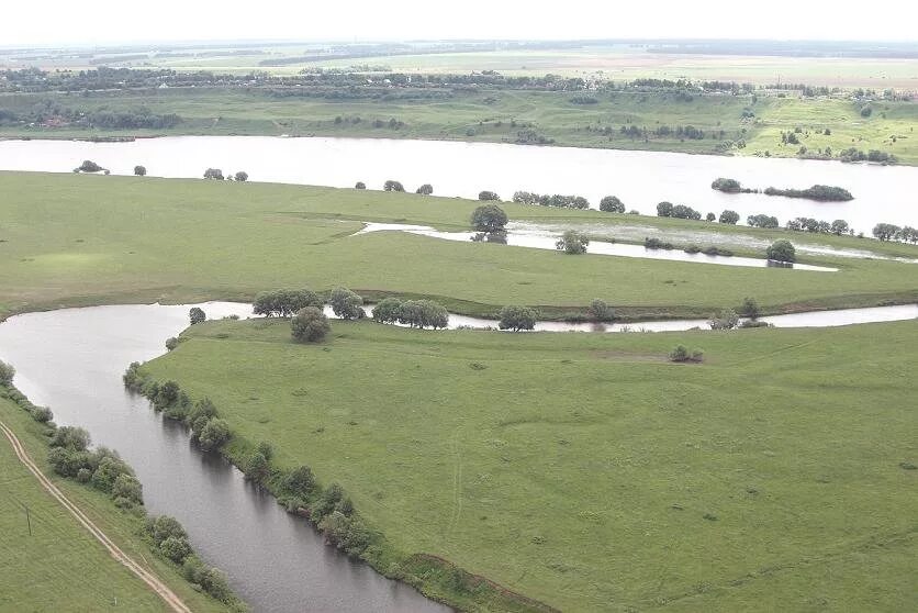 Река ока в рязанской области. Река ока в рязанской области. Рыбновский район бараньи рожки рязанская область. Река ока рязань. Ока в районе рязани.