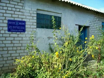 Погода шакин кумылженский волгоградская