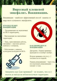 Прививка от клещевого энцефалита можно мочить