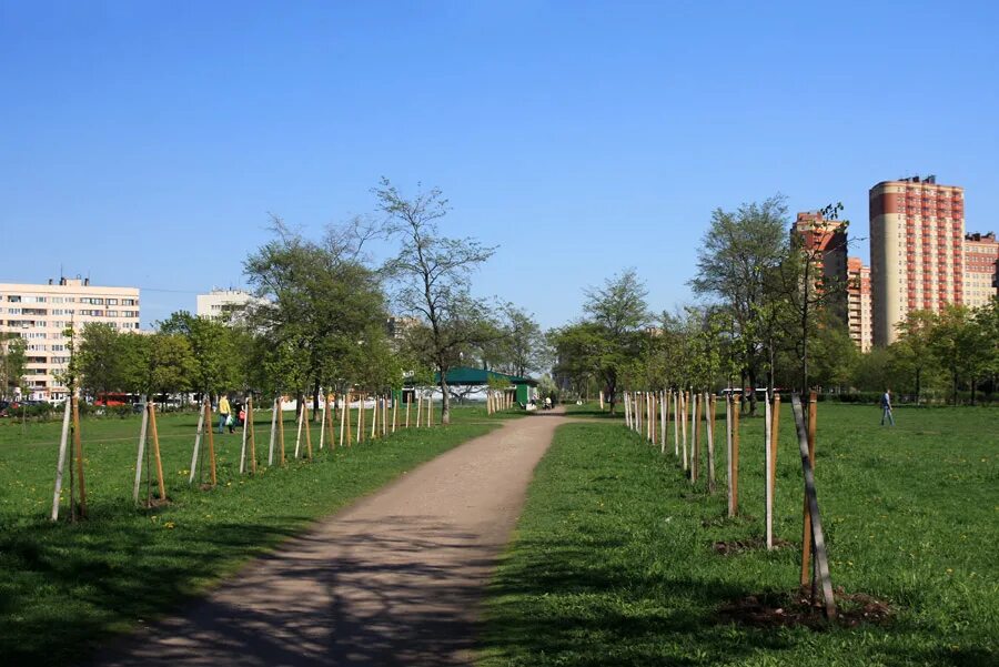 сквер на турку. купчино турку. парк на улице турку. купчинская улица. улица турку.