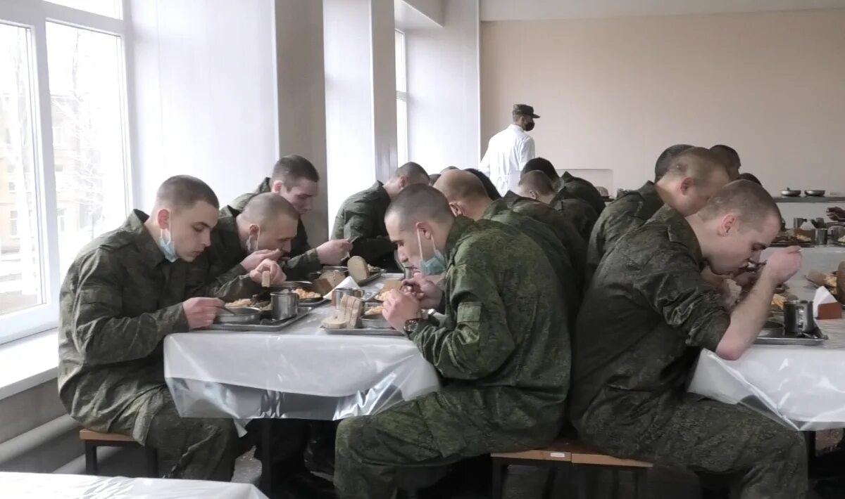 срочная служба в днр. срочная служба днр. осенний призыв. демобилизации врачей днр. срочная служба в днр.