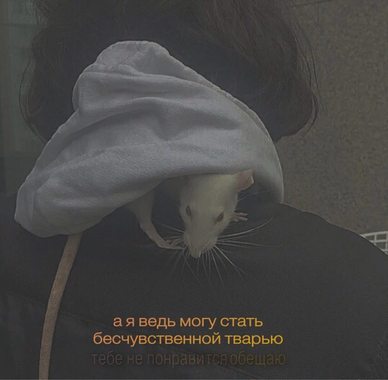 Как стать бездушным. Как стать холодной и бесчувственной. Как стать холодной и бесчувственной девушкой. Как стать холодной и бесчувственной девушкой. Эмоционально холодный человек.