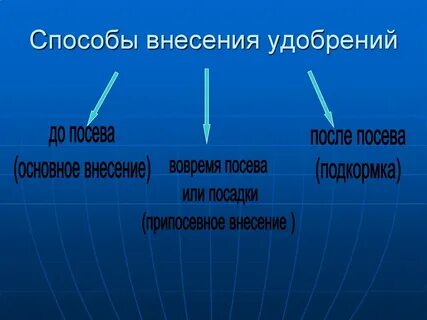 Сроки внесения удобрения в почву