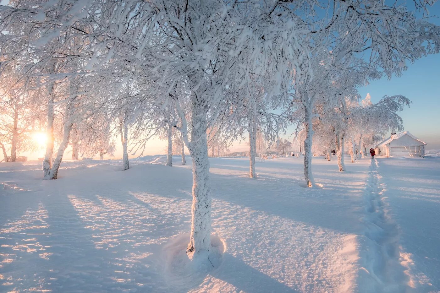 Покажи зимнюю картинку. Красивая зима. Снежный пейзаж. Зима снег. Зимняя природа.