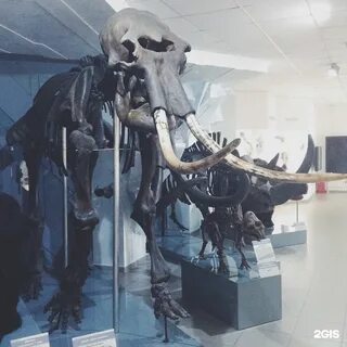 Краеведческий музей новосибирск вокзальная магистраль