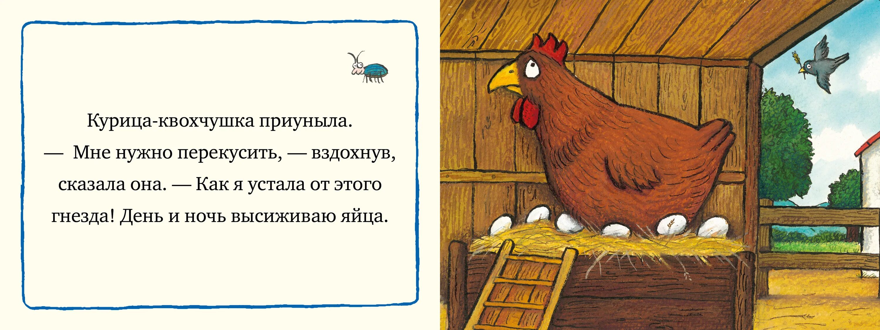 Открой курочек. Курочка Открой дверь книга. Заботливая Курочка. Поздравление с покупкой кур. Открой курицу.