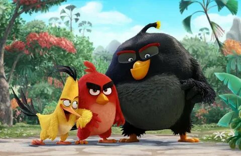 Angry birds 21