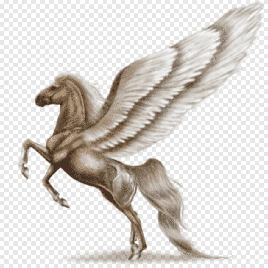 Пегас без крыльев. Лошадь с крыльями. Пегас. Крылатый Единорог. Белая лошадь с крыльями.
