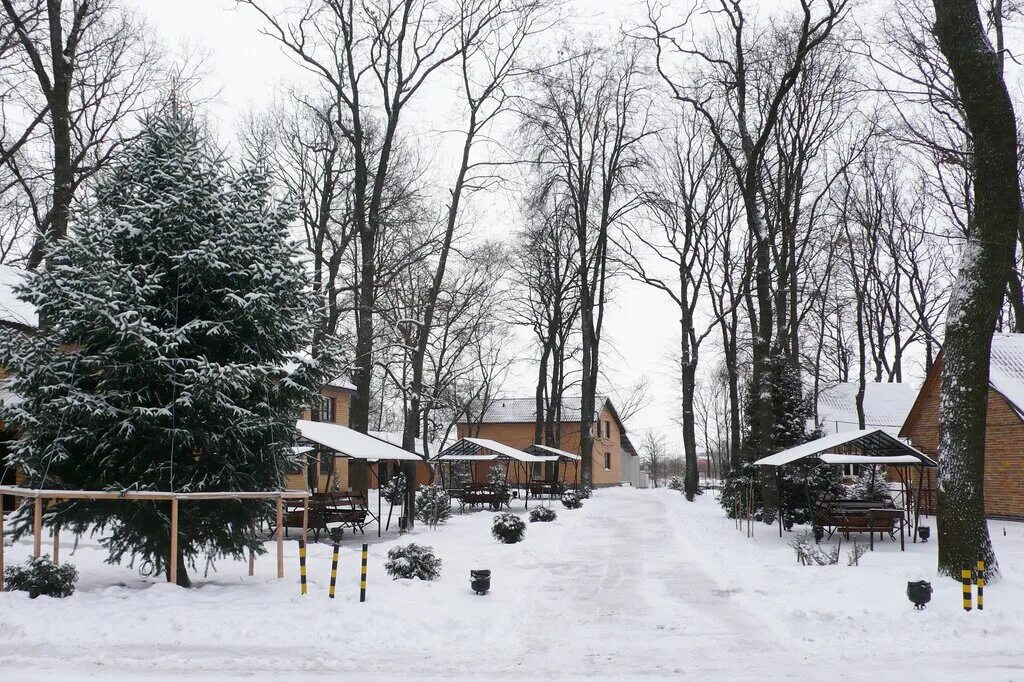 База ласточка воронеж. Турбазы зимой воронеж. База отдыха егоркины горки новая усмань. Дивноречье турбаза. Турбаза хуторок воронеж.