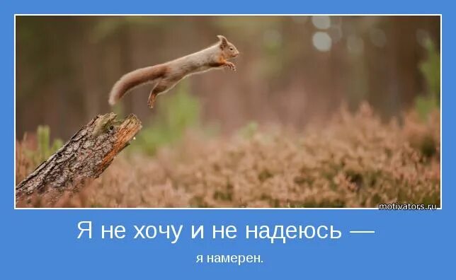 притворство доброты отталкивает больше чем. будем надеяться на лучшее. символ перемен в жизни к лучшему. в жизни обязательно должны быть паузы такие. афоризмы про желания.