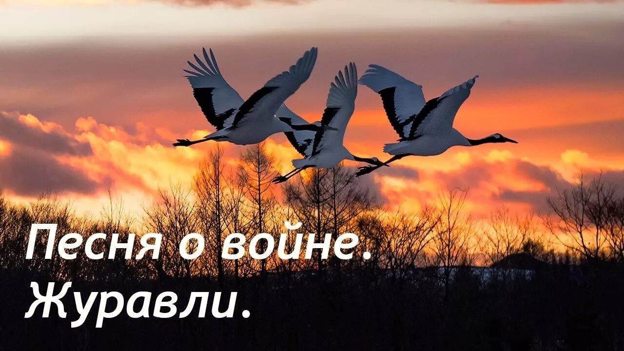 Слушать песню журавли в исполнении. День Победы Журавли. Журавли песня. Композиция с журавлем.