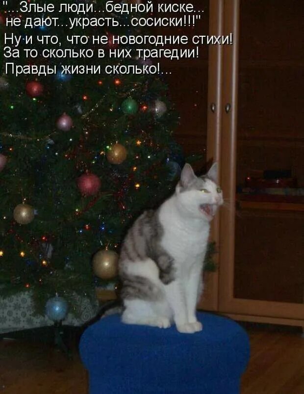 Цитаты про новогоднюю елку