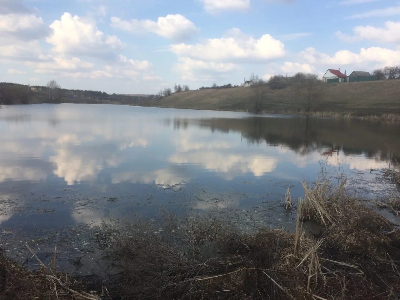 Букреевский пруд Курская область. Стезева дача озеро Курск. Пруд паники Курская область. Озеро Маковье Курская область. Курские водоемы