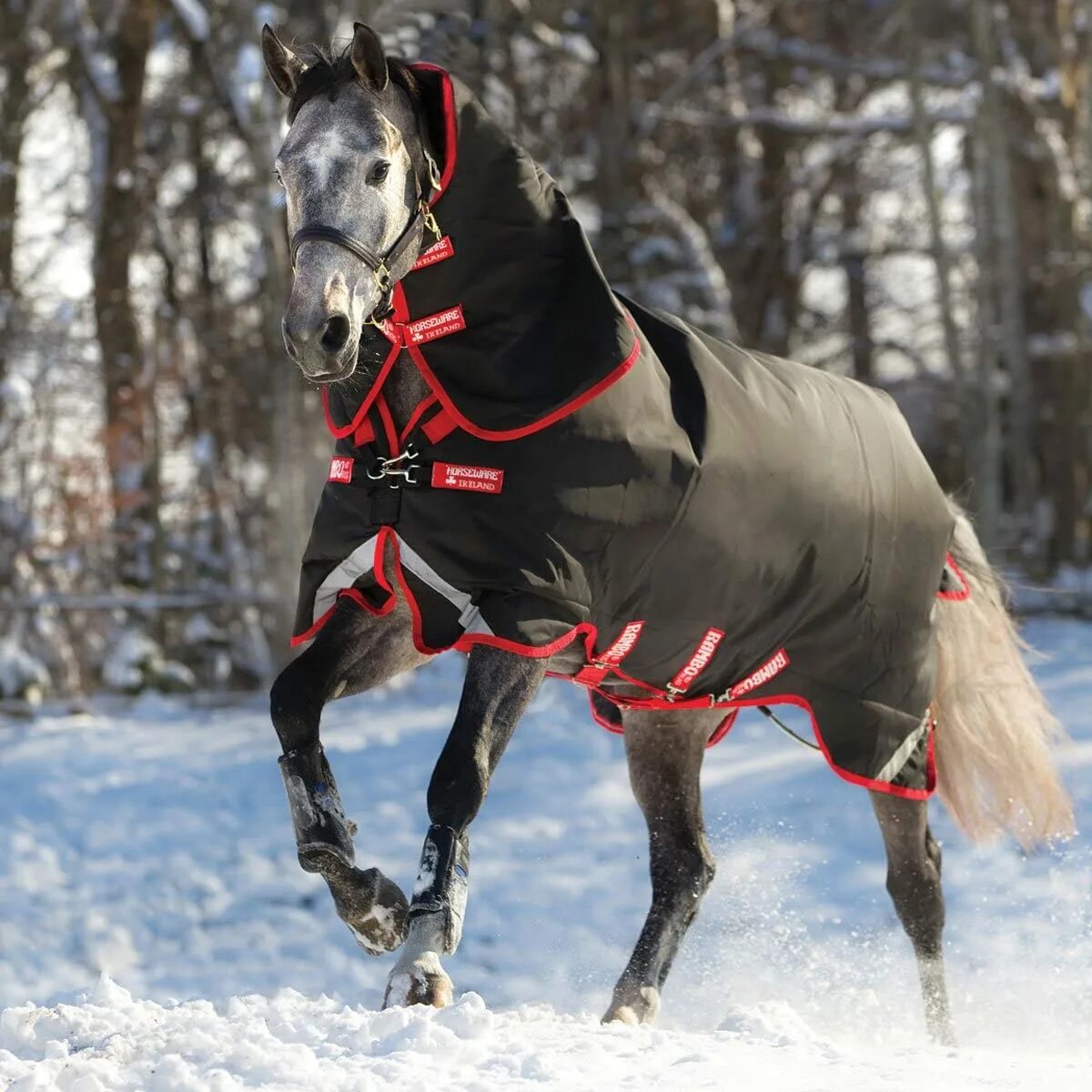Хорс Бланкет. Зимний комбинезон с лошадьми. Лошадь в стиле ГОБЛИНКОР. Horse Rugs. Turnout