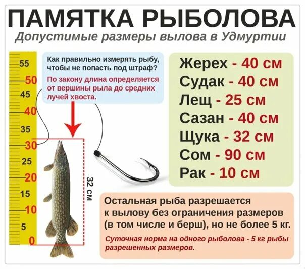 Запрет на щуку 2025